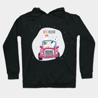 Cute Cats Best Friend Hoodie